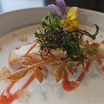 カシュ カシュ - 