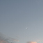 ピッツェリア マリノ 岐阜長良店 - 