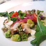 ピノ・ノワール - 有機野菜とホウボウのサラダ(3000円のランチより)