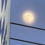 南房総 やまと寿司 - 