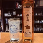 土鍋ごはんと和酒の店 おてだま - ジン:瀬戸内