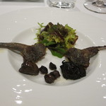 レストラン タニ - 山鳩の内臓と腿のサラダ仕立て