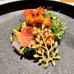 JINBO MINAMI AOYAMA - 