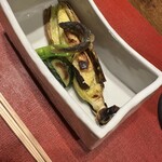 福井割烹 望月 - 