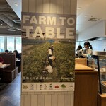 VEGGIE ISO TERRACE - 