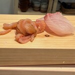 鮨処 ほしの - かんぱち、貝ひも