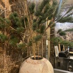 割烹 縮 - お正月らしい