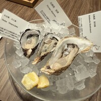 Oysterbar&Wine BELON 銀座店 - 