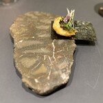 プレゼンテ スギ - ⑮杉寿司TY PE-R リゾットバージョン
      千葉県産のはまぐりとあわびの肝　
      アールグレイビネガー　フリット