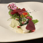 プレゼンテ スギ - ⑳ Sugi畑をお皿に乗せて
      バニラ、ライムとレモンのアイスドレッシング
      セミドライブラックオリーブ  弾ける飴