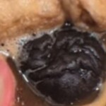 和食麺処 サガミ - 