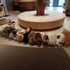 猫カフェMOCHA 三宮店