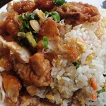 順順餃子房 秋葉原店 - 