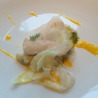 TRATTORIA CREATTA - メイン 魚