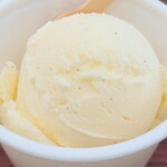 げんきな果実工房 - 料理写真:バニラ。