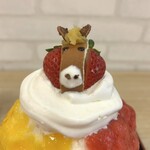 天然氷のかき氷 ひめじ官兵衛堂 - 