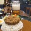 スパイス欧風カレー PAIKAJI