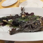 ブラカリイタリア料理店 - 