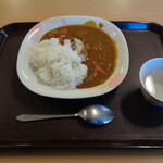 白国村 姫路駐屯地店 - カレー