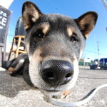 ピッザピッザピッザ - 2014年12月23日〜3日間限定☆
      現役女子高生とピザ屋さんのコラボ500円
      ピザ