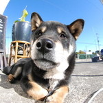 ピッザピッザピッザ - 2014年12月23日〜3日間限定☆
      現役女子高生とピザ屋さんのコラボ500円
      ピザ