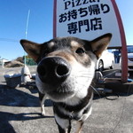 ピッザピッザピッザ - 2014年12月23日〜3日間限定☆
      現役女子高生とピザ屋さんのコラボ500円
      ピザ