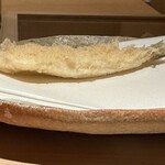 ぬま田 - 【 鱚 】