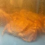 かに道楽 - 店内_2025年12月