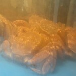 かに道楽 - 店内_2025年12月