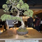 BONGENCOFFEE TOKYO  日本橋店 - 