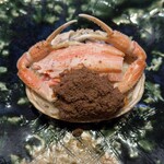 美味いもん屋 わ多なべ - せいこ蟹