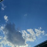 ラーメンの店 ホープ軒 - 