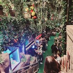 レインフォレストカフェ・トーキョー - 