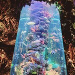 レインフォレストカフェ・トーキョー - 