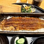 うなぎ四代目菊川 京都駅ポルタ店 - 「名物・一本うなぎ」