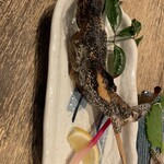 小川の魚 - 
