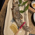 小川の魚 - 