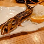 串劇場 徳永座 - 大トロイワシ