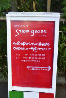 Snow goose - 