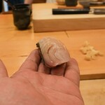 Sushi Shunsuke Asagaya - Spanish Mackerel