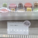 フォルテシモ アッシュ - 