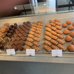 フォルテシモ アッシュ - 