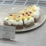 フォルテシモ アッシュ - 