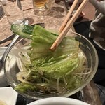 焼肉 千味庭  - 【2026.1.3(土)】GOSAROスペシャルランチの野菜サラダ