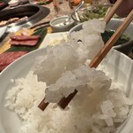 焼肉 千味庭  - 【2026.1.3(土)】GOSAROスペシャルランチのご飯
