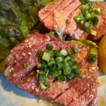 地鶏の里 永楽荘 - 