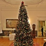 綱町三井倶楽部 - 2014クリスマスツリー