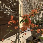 Ristorante Crocifisso - 新年は6日のランチより営業いたします