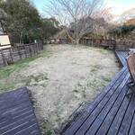 マリティーム - ドッグラン