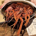 温石 - 生きている赤座海老